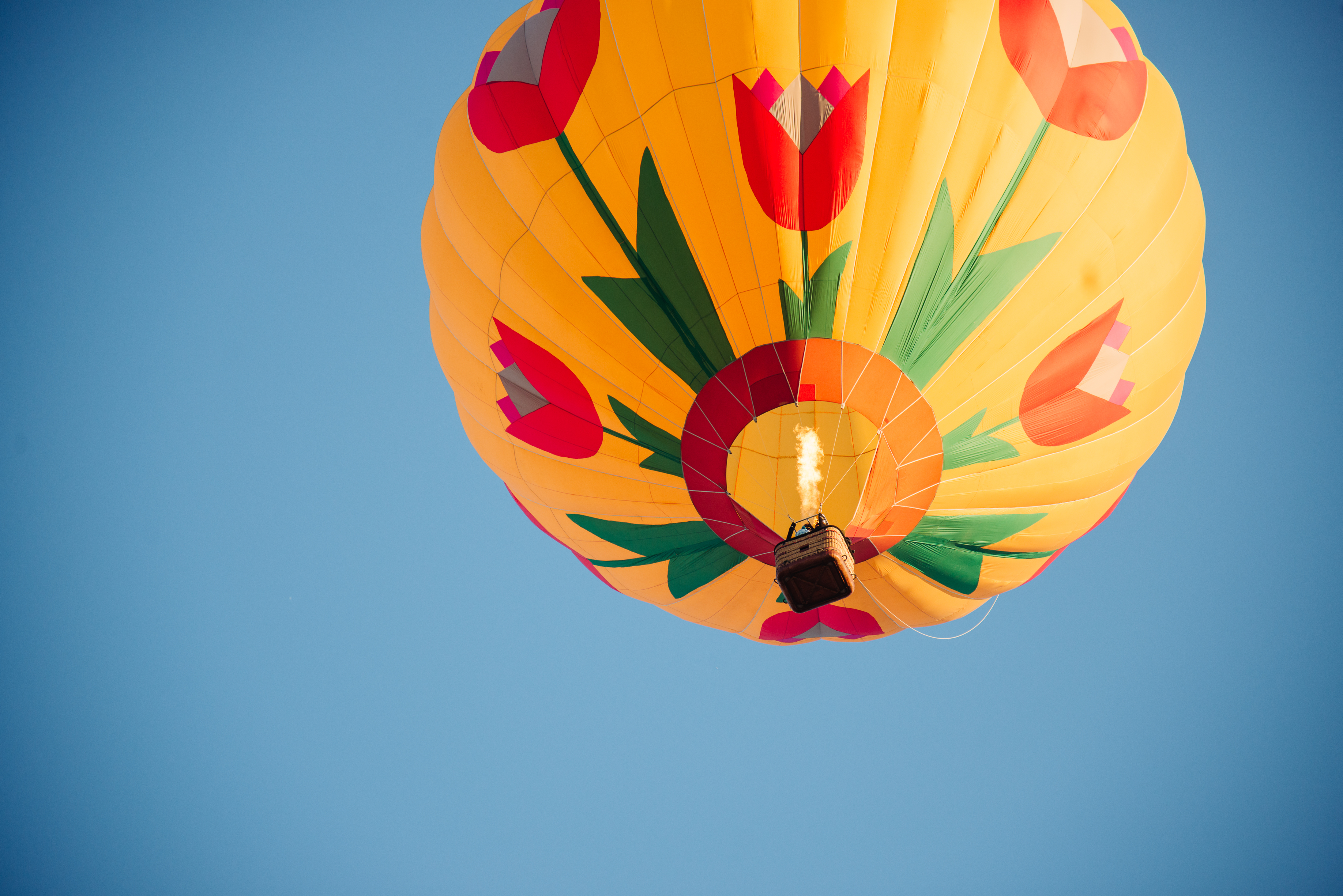 Романтический полет на воздушном шаре